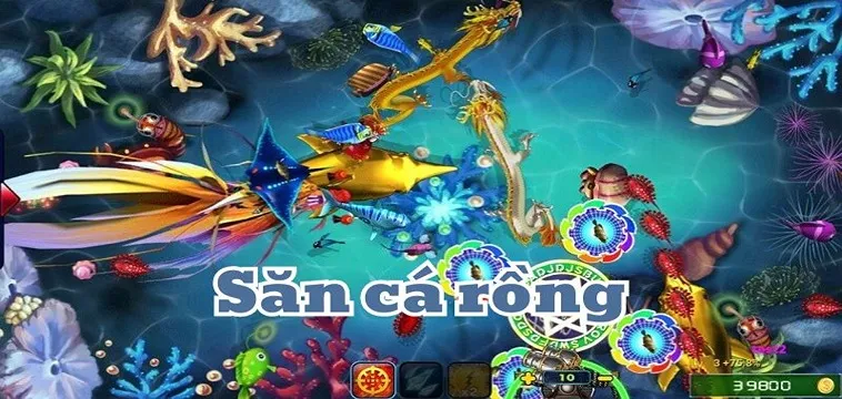Khám Phá Cách Chơi Bắn Cá Rồng 8xBet Kịch Tính Hấp Dẫn
