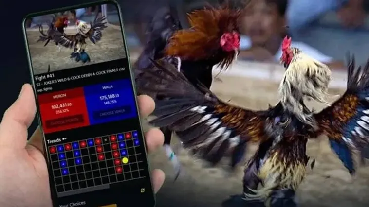 Đá Gà 8xBet Sôi Động Lên Đỉnh Với Những Trận Đấu Hấp Dẫn Nhất