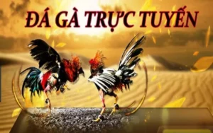 Cách Chơi Đá Gà 3D Tại 8xBet Thú Vị Hấp Dẫn Cho Mọi Sư Kê