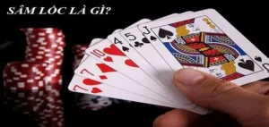 Bí Kíp Chơi Sâm Lốc Nhà Cái 8xBet Thắng Đậm Dễ Như Chơi